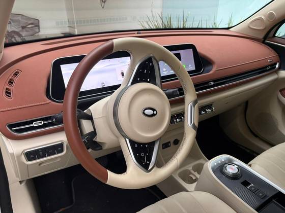 GWM ORA 03 48 KW ELÉTRICO SKIN